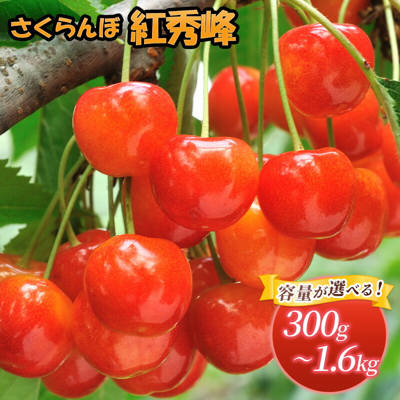 【ふるさと納税】[先行受付] 容量が選べる 300g～1.6kg北海道 仁木町産 さくらんぼ 紅秀峰 果物類 くだもの フルーツ サクランボ チェリー [JA新おたる]　お届け：2025年7月～23日まで