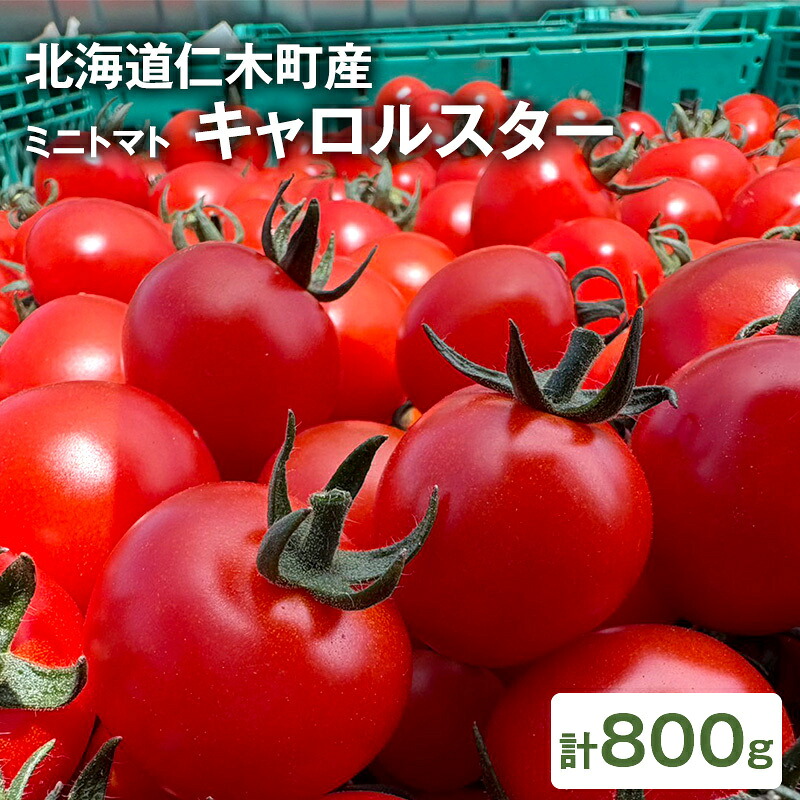 【ふるさと納税】[2026年発送] 北海道 仁木町産 ミニトマト キャロルスター 800g （32粒～50粒）トマト 野菜 国産 プチトマト 甘み 使いやすい サラダ お弁当 家庭用 子供に人気 リコピン [REDA FARM]　お届け：2026年7月20日～8月31日｜北海道仁木町