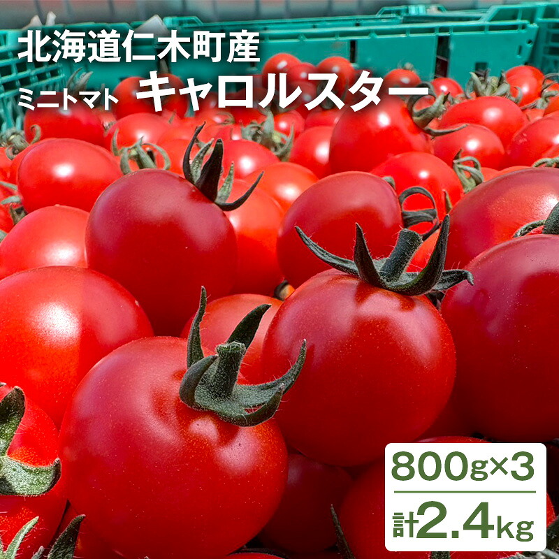 【ふるさと納税】[2026年発送] 北海道 仁木町産 ミニトマト キャロルスター 2.4kg （96粒～150粒）トマト 野菜 国産 プチトマト 甘み 使いやすい サラダ お弁当 家庭用 子供に人気 リコピン [REDA FARM]　お届け：2026年7月20日～8月31日｜北海道仁木町