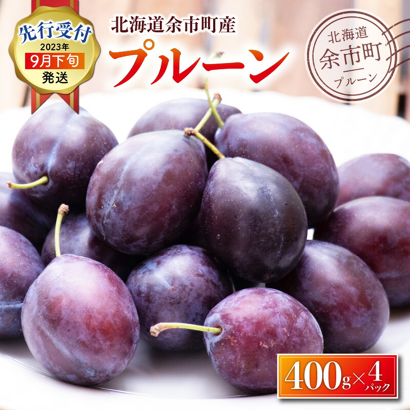 【楽天市場】【ふるさと納税】【先行受付】甘くてジューシー 余市産 プルーン 生プルーン 400g × 4パック 2023年9月下旬発送分 ...