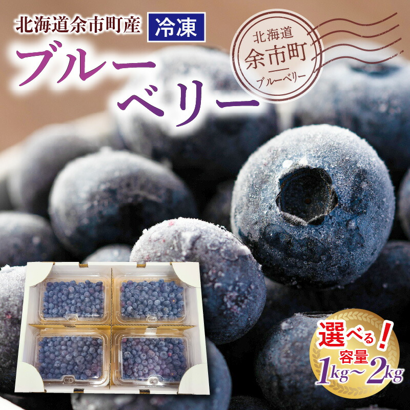 【ふるさと納税】甘くてジューシー 余市産 ブルーベリー  冷凍 北海道 余市町 国産 抗酸化作用 フルーツ 果物 お取り寄せ 小分け パック スムージー ジュース ヨーグルト ジャム アレンジ バラ詰め 不揃い 送料無料 北海道 余市町