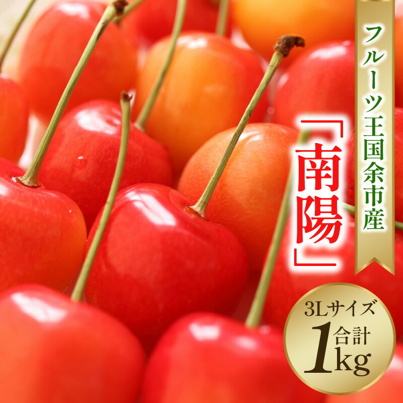 【ふるさと納税】 2025年発送 【 先行予約 】 令和7年産 南陽 【 3Lサイズ 】 500g×2 【 ニトリ観光果樹園 】 余市 北海道 フルーツ王国 さくらんぼ サクランボ 桜桃 南陽 余市産さくらんぼ 人気さくらんぼ ニトリ 北海道 余市町 グルメ 冷蔵 お取り寄せ 送料無料