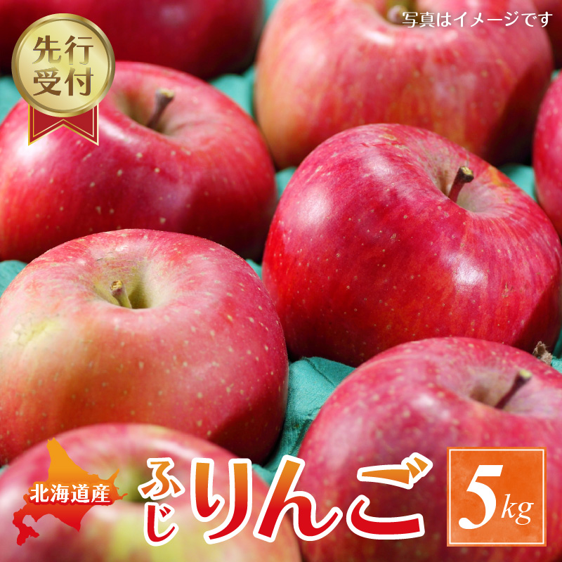 【ふるさと納税】【2025年11月下旬以降発送分先行予約】りんご ふじ 5kg 果物 アップル フルーツ ジュース 飲料 果物 スイーツ ジャム アップルパイ フルーツ スムージー ヨーグルト ジュース タルト お菓子作り ケーキ 飲み物  お取り寄せ 先行予約 北海道 余市町 送料無料