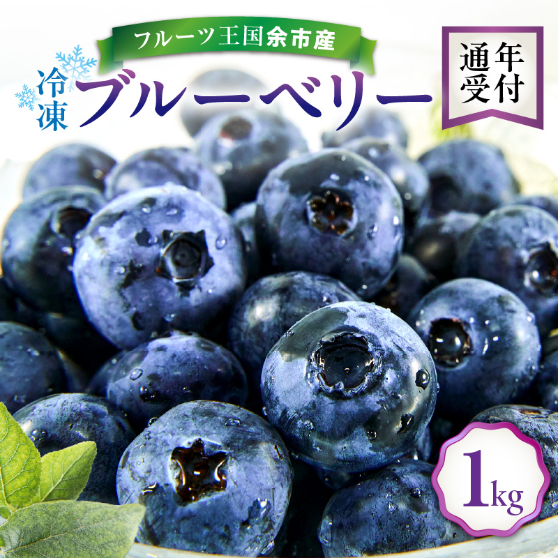 【ふるさと納税】フルーツ王国 余市産 冷凍ブルーベリー 1kg 【ニトリ観光果樹園】  冷凍 国産 抗酸化作用 フルーツ 果物 お取り寄せ スムージー ジュース ヨーグルト ジャム アレンジ 送料無料 北海道 余市町