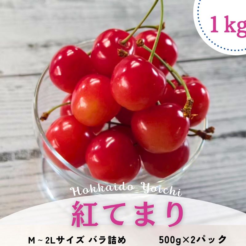 【ふるさと納税】【 先行予約 2025年7月より発送 】＜ 北海道余市産 ＞ さくらんぼ 「 紅てまり 」 ( M ～ 2L サイズ バラ詰め ）500g × 2パック【 北海道アグリドリーム 】チェリー フルーツ 先行予約 果物 期間限定 季節限定 北海道 余市町 送料無料