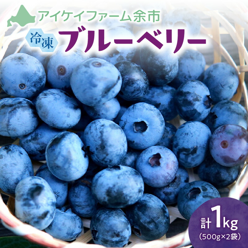 【ふるさと納税】高評価★4.88 冷凍ブルーベリー 500g×2袋 (チャック付き袋)【アイケイファーム余市】 フルーツ 果物 お取り寄せ スムージー ジュース ヨーグルト ジャム アレンジ 送料無料 北海道 余市町