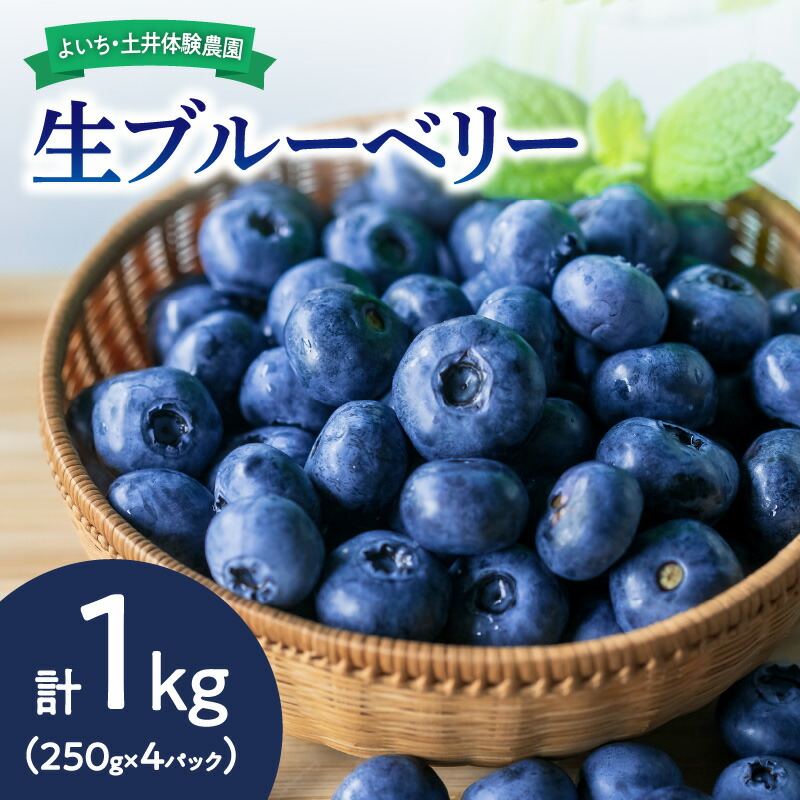 【ふるさと納税】【先行予約：2025年7月中旬以降発送】生ブルーベリー1kg  朝食 お中元 ジャム ヨーグルト ケーキ タルト お菓子作り スムージー パイ スイーツ ジュース チーズケーキ ゼリー マフィン パウンドケーキ ムース 北海道 余市町
