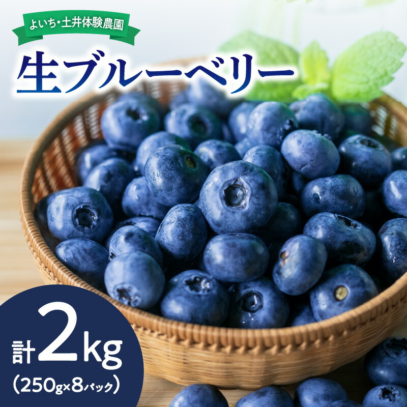 【ふるさと納税】【先行予約：2025年7月中旬以降発送】生ブルーベリー2kg 朝食 お中元 ジャム ヨーグルト ケーキ タルト お菓子作り スムージー パイ スイーツ ジュース チーズケーキ ゼリー マフィン パウンドケーキ ムース 北海道 余市町
