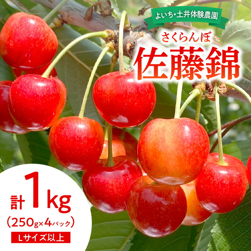 【ふるさと納税】【先行予約：2025年6月下旬以降発送】さくらんぼ【佐藤錦】1kg 冷蔵 スイーツ サクランボ ゼリー ジュース コンポート シャーベット ロールケーキ パウンドケーキ タルト フルーツ さくらんぼ餅 北海道 余市町
