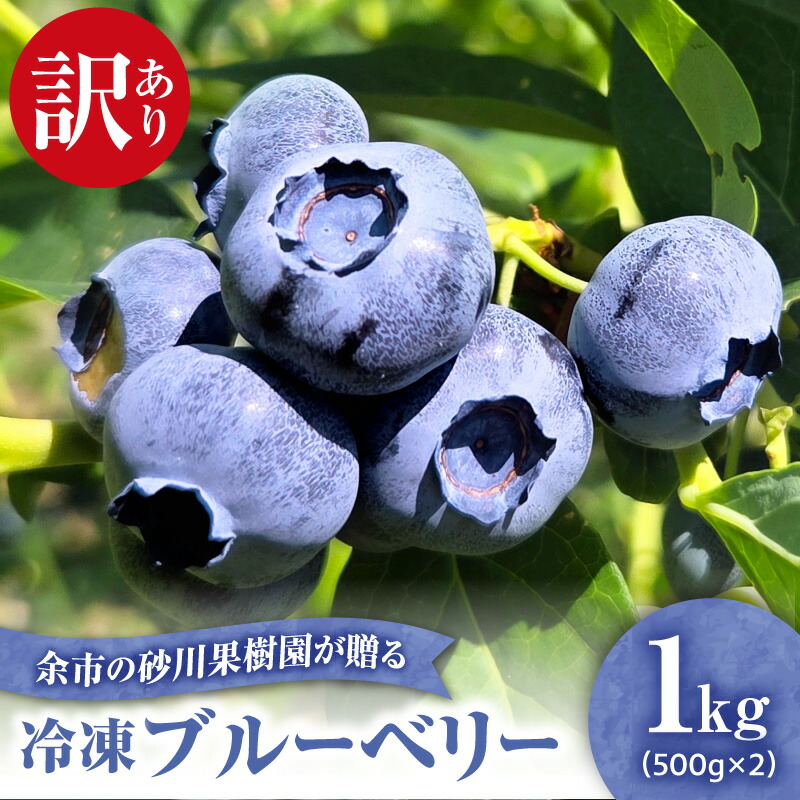 楽天市場】【ふるさと納税】甘くてジューシー 余市産 冷凍ブルーベリー