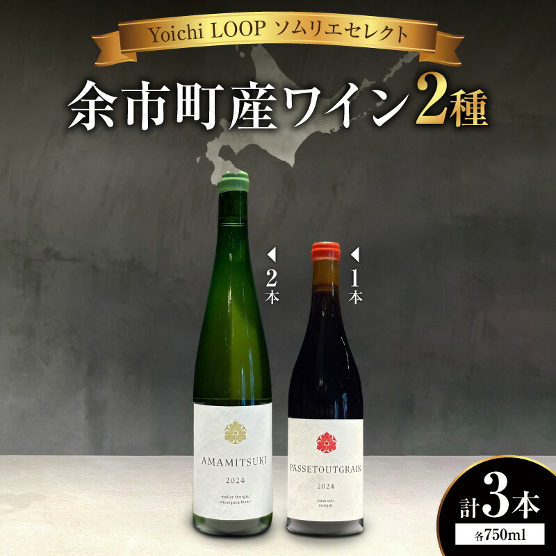 ワイン Yoichi-Blanc 2023 Atsushi Suzuki 750ml Yoichi-Blanc 2023