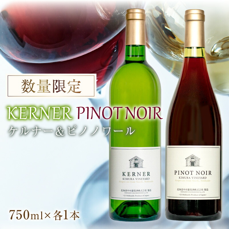 【ふるさと納税】ケルナー2024年＆ピノノワール2024年 750ml× 各1本 セット ギフト【数量限定】赤ワイン 白ワイン 辛口 北海道産