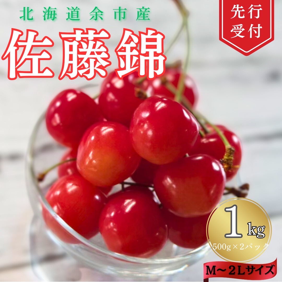 【ふるさと納税】【 先行予約 2025年6月下旬より発送 】 ＜ 北海道余市産 ＞ さくらんぼ「佐藤錦」 ( M ～ 2L サイズ バラ詰め) 500g × 2パック さくらんぼ フルーツ 果物 果実 北海道 北海道産 余市産 余市 余市町 送料無料