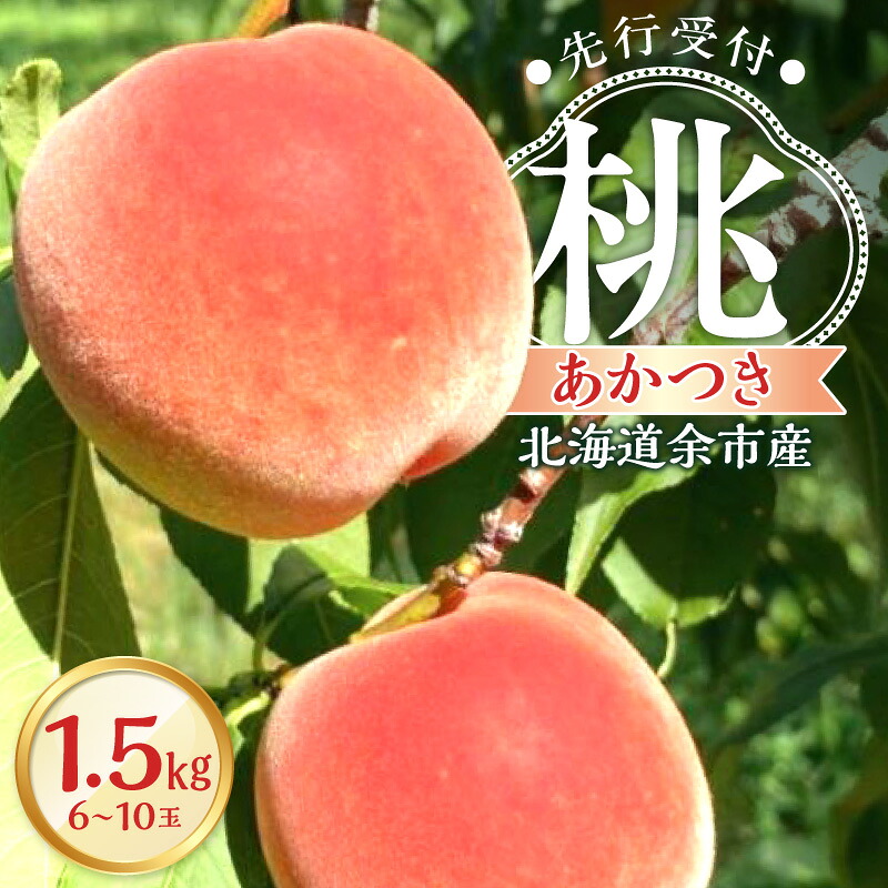 【ふるさと納税】【 先行予約 2026年8月下旬頃より発送 】< 北海道余市産 > 桃「 あかつき 」1.5kg(6~10玉)【 北海道アグリドリーム 】北海道 余市町 果物 ジャム ヨーグルト ケーキ 国産 お取り寄せ 送料無料|北海道余市町