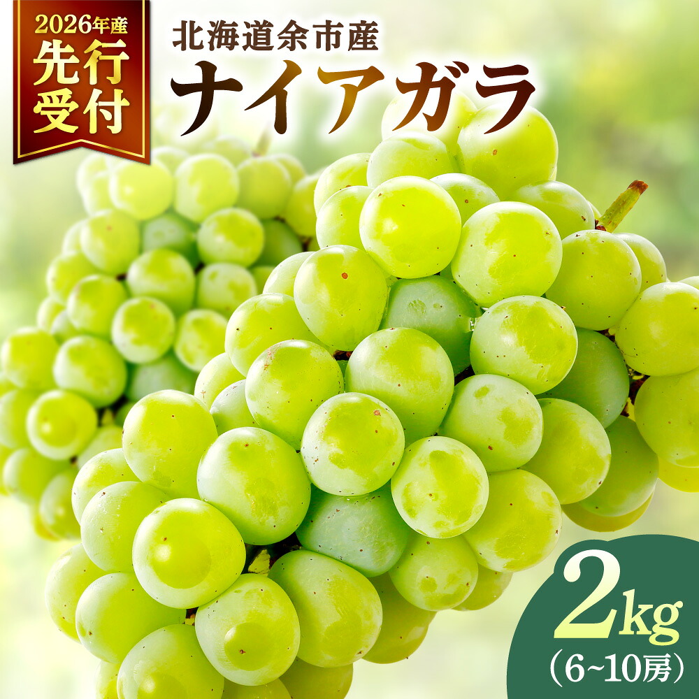 【ふるさと納税】【2026年産 先行予約】＜北海道余市産＞ ご家庭用 ナイアガラ 2kg ( 6～10房 ) 北海道 余市町 送料無料｜北海道余市町 13,000円