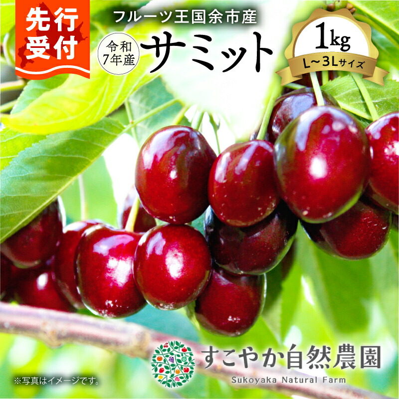 【ふるさと納税】2025年発送【先行予約】令和7年産 サミット【Ｌ～2Lサイズ】1Kg【すこやか自然農園】北海道 余市 フルーツ デザート 果物 季節限定 とれたて 甘み 鮮やかな紅色 お取り寄せ 有機栽培 JAS認定 有機堆肥 酸味 バランス 濃厚 果汁 北海道 余市町 送料無料
