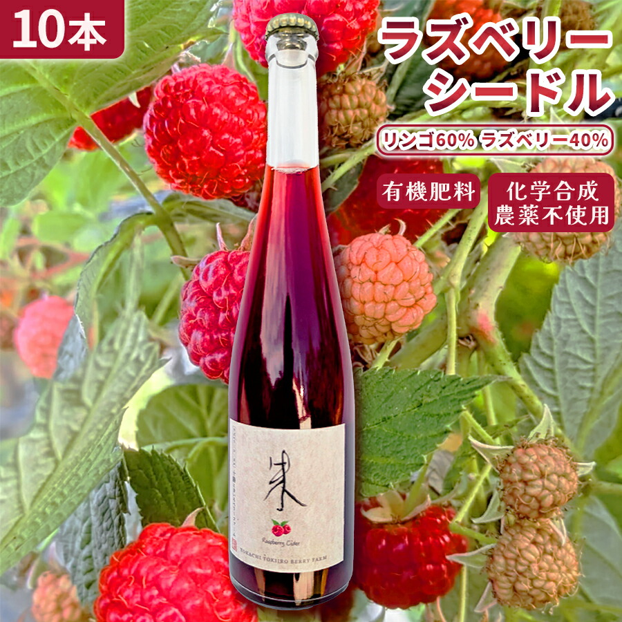 【ふるさと納税】【北海道産 ラズベリー りんご】ラズベリーシードル 10本 北海道 余市町 送料無料|北海道余市町