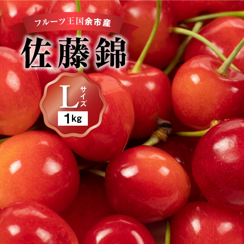【ふるさと納税】 2025年発送 【 先行予約 】 令和7年産 佐藤錦 【 Lサイズ 】 500g×2 【 ニトリ観光果樹園 】 さくらんぼの王様 余市 北海道 フルーツ王国 さくらんぼ サクランボ 桜桃 佐藤錦 余市産さくらんぼ 人気さくらんぼ ニトリ お取り寄せ 送料無料