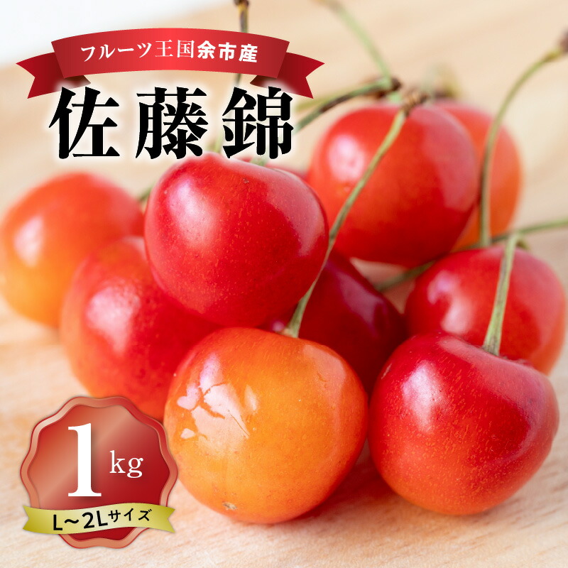 【ふるさと納税】 2025年発送 【 先行予約 】 令和7年産 佐藤錦 【 L～2L バラ詰め 】 500g×2 【 ニトリ観光果樹園 】 さくらんぼの王様 余市 北海道 フルーツ王国 さくらんぼ サクランボ 桜桃 佐藤錦 余市産さくらんぼ 人気さくらんぼ ニトリ お取り寄せ 送料無料