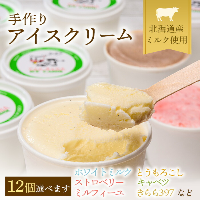 【ふるさと納税】 北海道産 手作りアイスクリーム 120ml&times;12個セット(お好み詰め合わせ) 南幌町 道産牛乳 スイーツ デザート NP1-024｜北海道南幌町