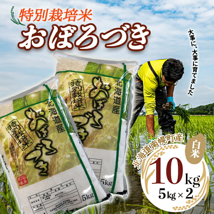 特別栽培米 おぼろづき 白米 5kg×2袋 令和4年度米 2022年10月発送 NP1-050 買い取り