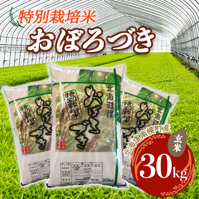 有名なブランド 特別栽培米 おぼろづき 玄米 30kg 令和4年度米 2022年10月発送 NP1-059 fucoa.cl