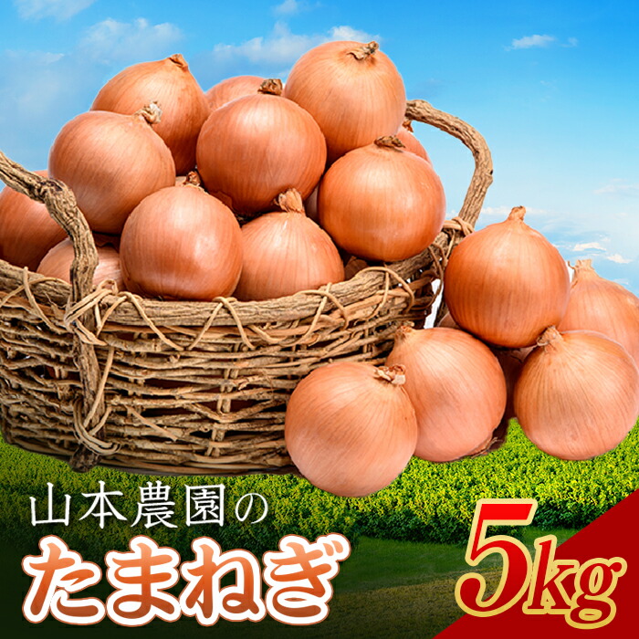 たまねぎ 楽天市場】【ふるさと納税】北海道産 「山本農園のたまねぎ」L〜L大