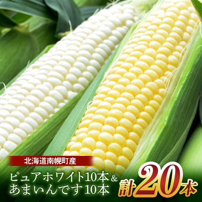 【ふるさと納税】令和7年発送 北海道産 とうもろこし 食べ比べ ピュアホワイト10本＆あまいんです10本 朝採れ 一番果 生食 産地直送 数量限定 生で食べられる 南幌町 NP1-171