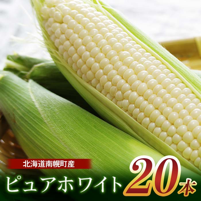 【ふるさと納税】令和7年発送 北海道産 とうもろこし ピュアホワイト20本 朝採れ 一番果 産地直送 数量限定 生で食べられる 南幌町 NP1-172