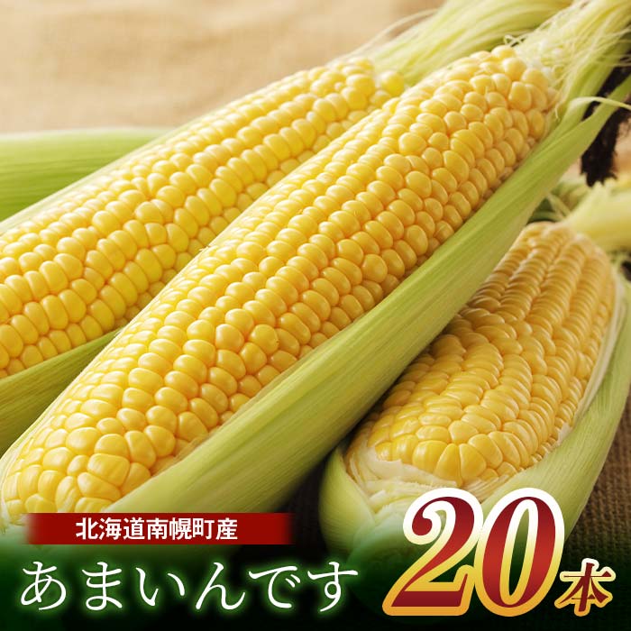 【ふるさと納税】令和7年発送 北海道産 とうもろこし あまいんです20本 朝採れ 一番果 産地直送 数量限定 生で食べられる 南幌町 NP1-173
