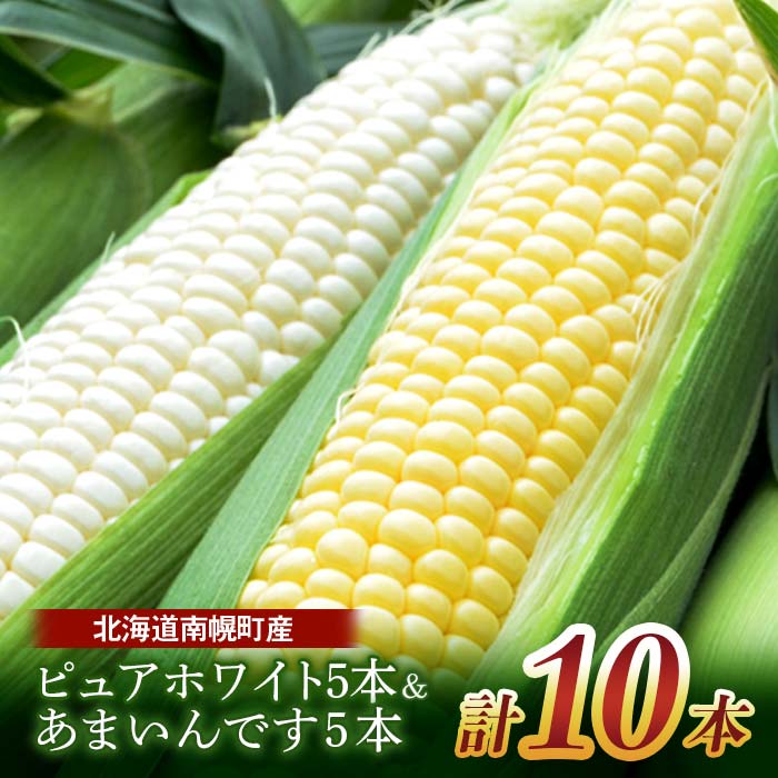 【ふるさと納税】令和7年発送 北海道産 とうもろこし 食べ比べ ピュアホワイト5本＆あまいんです5本 朝採れ 一番果 産地直送 数量限定 生で食べられる 南幌町 NP1-174