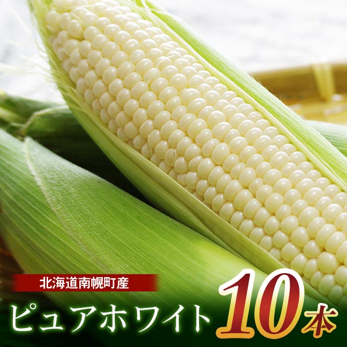 【ふるさと納税】令和7年発送 北海道産 とうもろこし ピュアホワイト10本 朝採り 生食 産地直送 数量限定 生で食べられる 南幌町 NP1-175