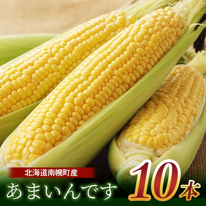 【ふるさと納税】令和7年発送 北海道産 とうもろこし あまいんです10本 朝採れ 一番果 産地直送 数量限定 生で食べられる 南幌町 NP1-176