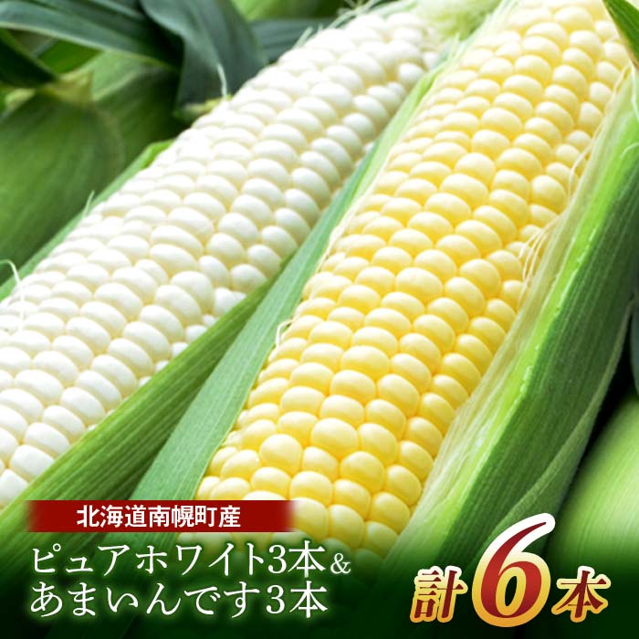 【ふるさと納税】令和7年発送 北海道産 とうもろこし 食べ比べ ピュアホワイト3本＆あまいんです3本 朝採れ 一番果 産地直送 数量限定 生で食べられる 南幌町 NP1-177