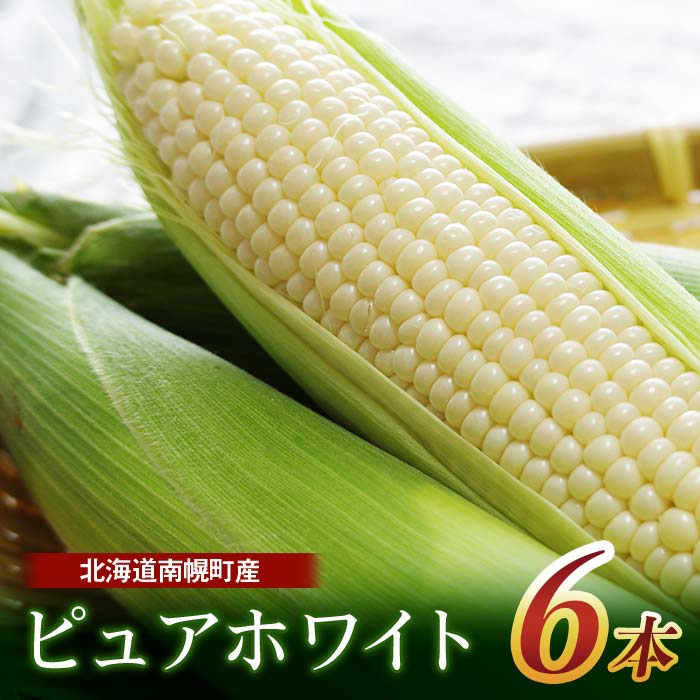 【ふるさと納税】令和7年発送 北海道産 とうもろこし ピュアホワイト6本 朝採れ 一番果 産地直送 数量限定 生で食べられる 南幌町 NP1-178