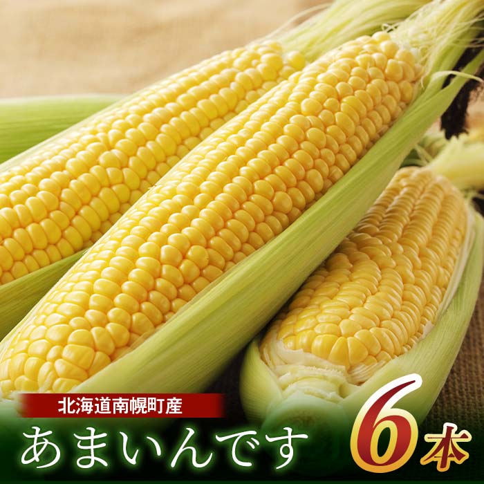 【ふるさと納税】令和7年発送 北海道産 とうもろこし あまいんです6本 朝採れ 一番果 産地直送 数量限定 期間限定 NP1-179