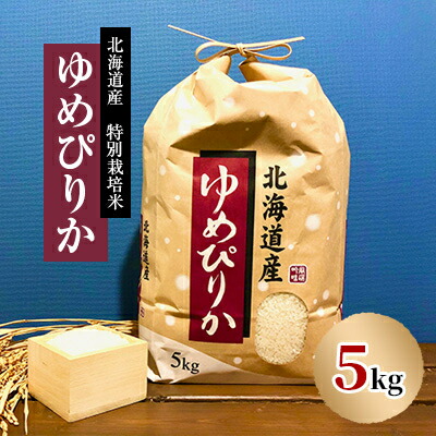 【ふるさと納税】【先行予約】特別栽培米 令和7年産北海道産ゆめぴりか 精米 5Kg 10kg【G1530225】