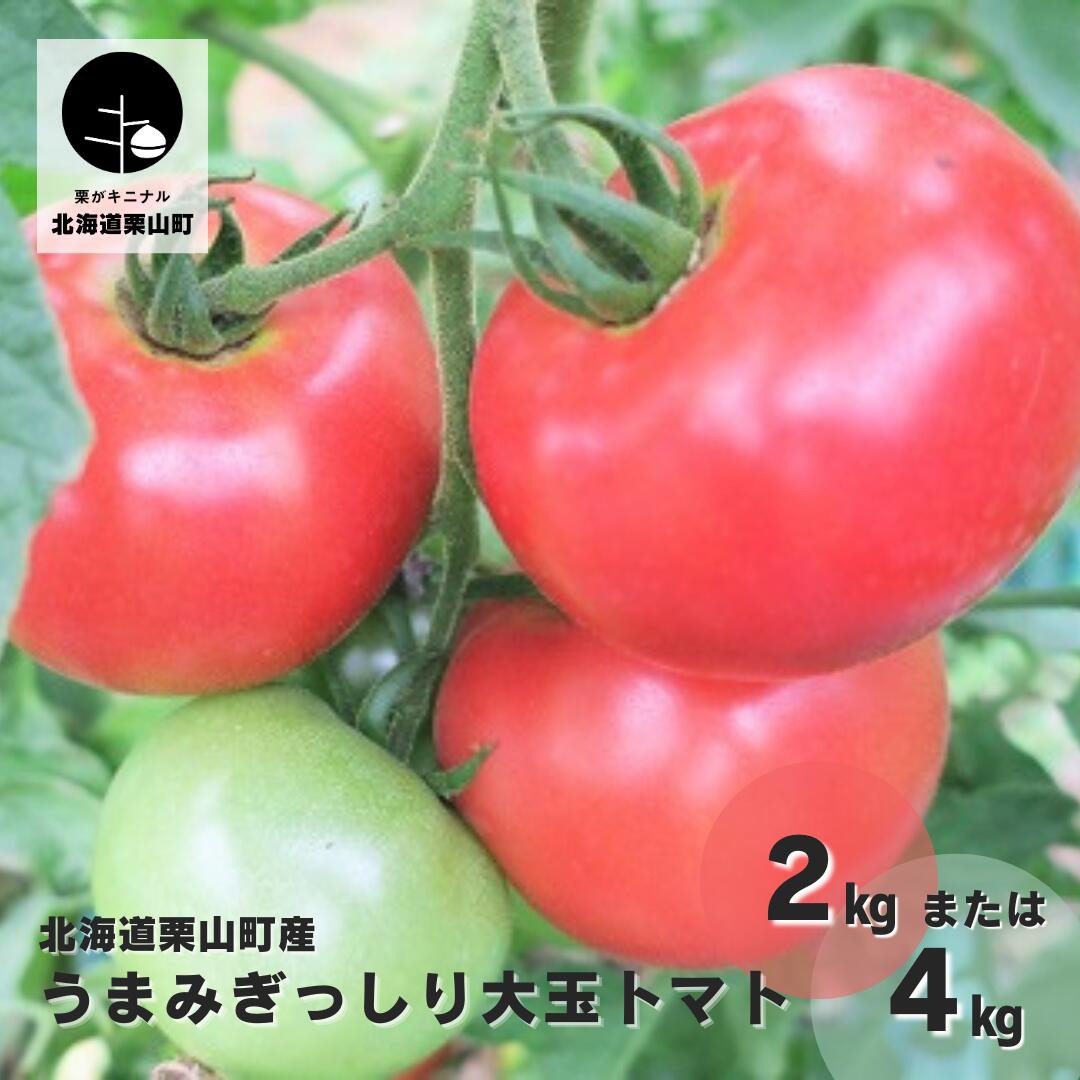 【ふるさと納税】北海道栗山町産　うまみぎっしり大玉トマト《2kg・4kg》