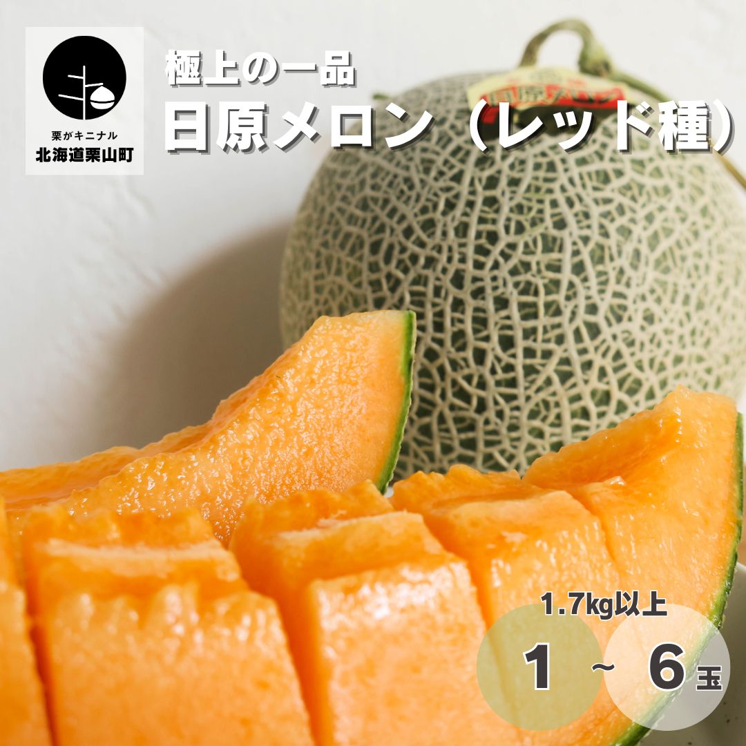 【ふるさと納税】北海道 極上の一品「日原メロン(レッド種)」1.7kg相当《1玉・ 2玉・3玉・4玉・6玉》|北海道栗山町