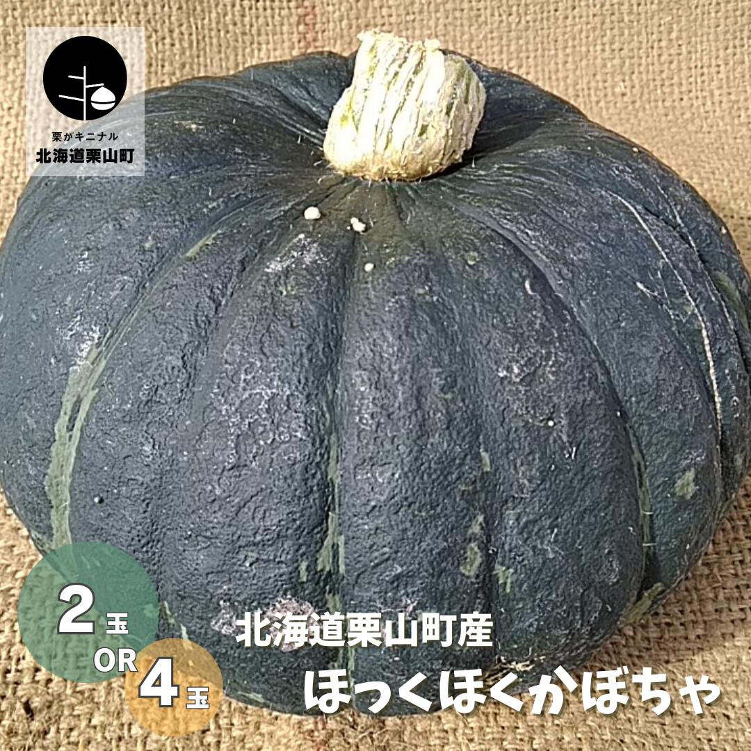 【ふるさと納税】北海道栗山町産 ほっくほくかぼちゃ《2玉・4玉》｜北海道栗山町
