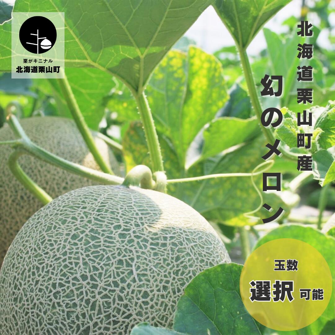 【ふるさと納税】北海道栗山町産  幻のメロン《1玉・2玉・大箱 4～6玉（計8kg程度）》