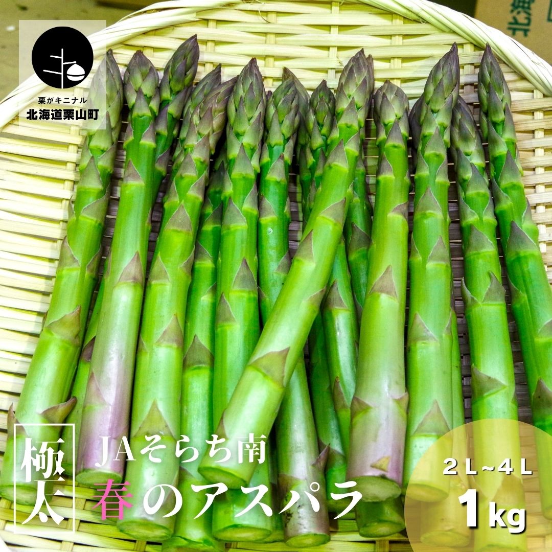 【ふるさと納税】極太！JAそらち南 春の味覚「グリーンアスパラガス」2L～4L 1kg前後