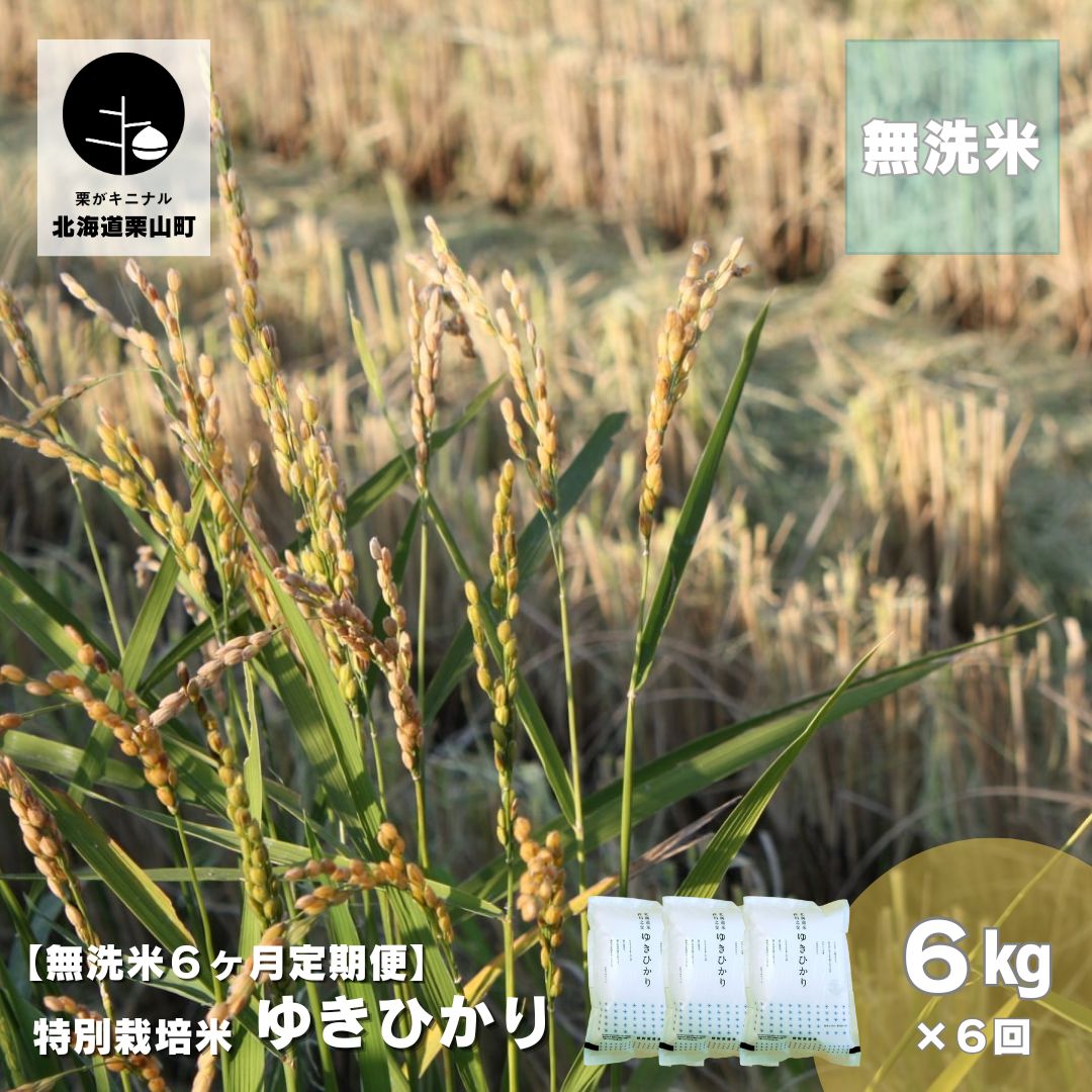 【ふるさと納税】【無洗米6ヶ月定期便】特別栽培米ゆきひかり2kg×3袋|北海道栗山町