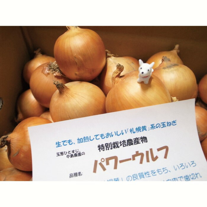 市場 ふるさと納税 越冬用減農薬玉ねぎ10kg：北海道栗山町 11月発送