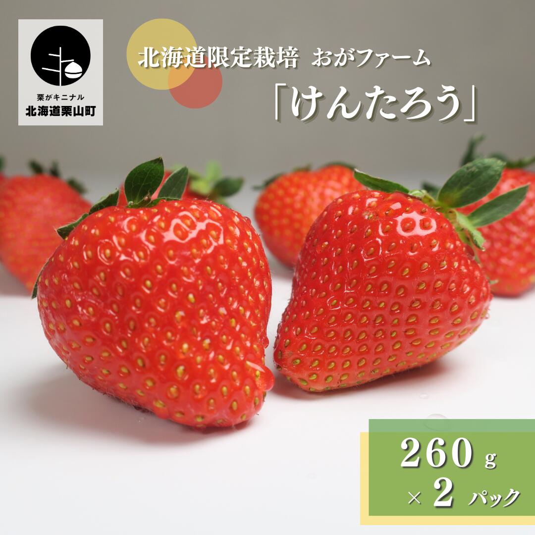 楽天市場】【ふるさと納税】北海道産 ファームうかわの冷凍クラッシュいちご《1kg・2kg》 : 北海道栗山町