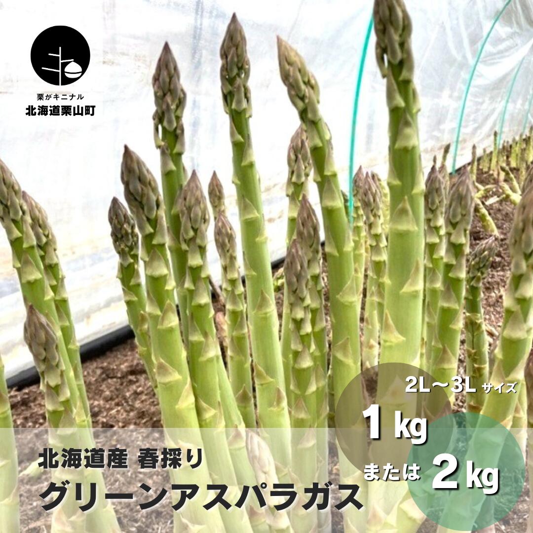 野菜・きのこ 【ふるさと納税】【先行予約】北海道産 春採り グリーン