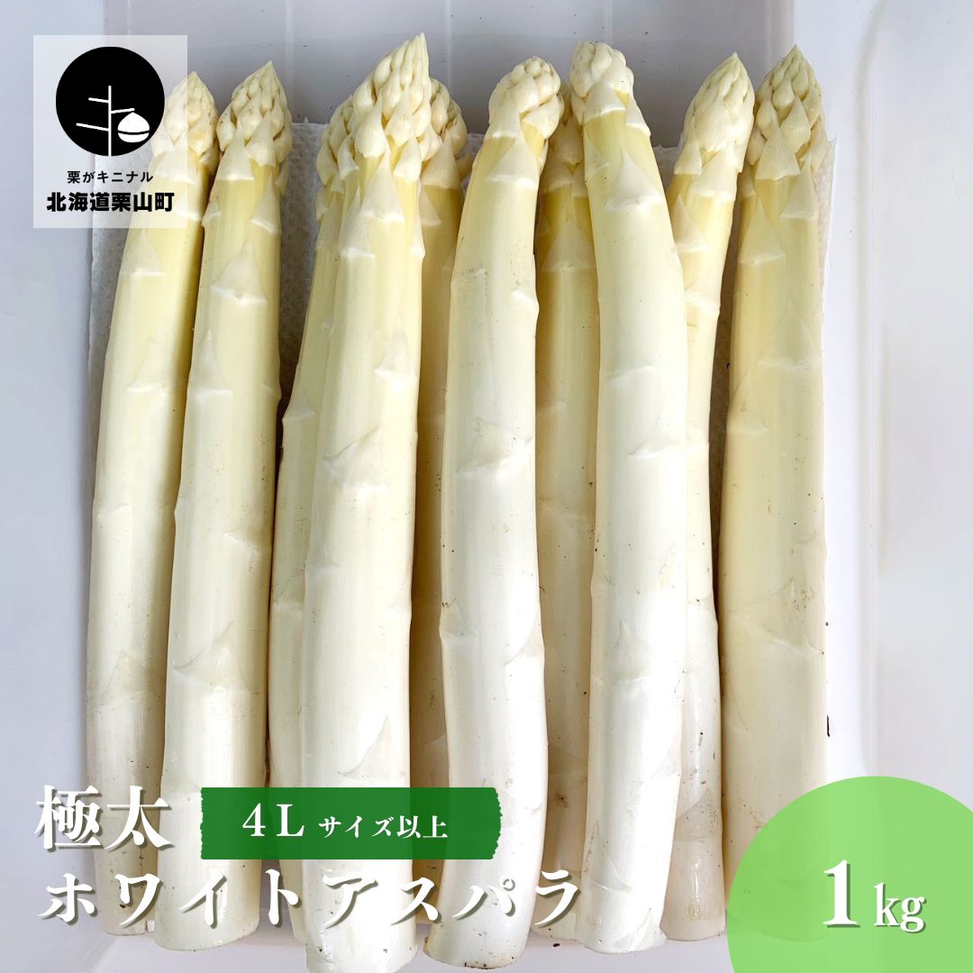 【ふるさと納税】北海道栗山町産 極太ホワイトアスパラ（4Lサイズ以上）1kg オジファーム