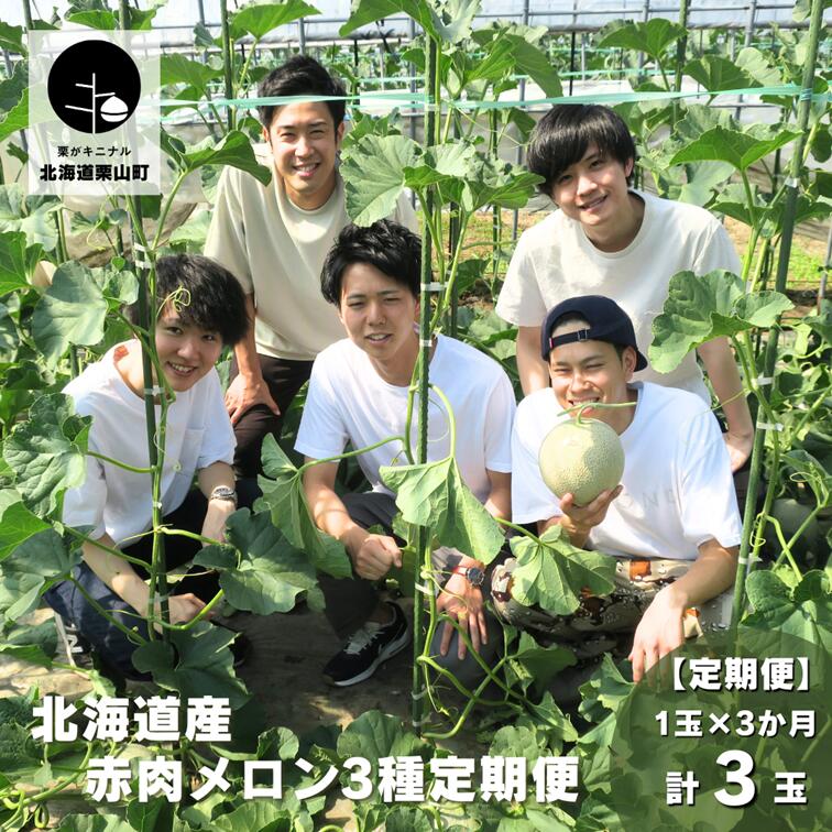 【ふるさと納税】北海道産赤肉メロン3種定期便（1玉×3回）