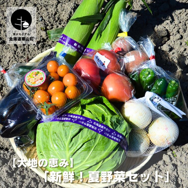 【ふるさと納税】大地の恵み 「新鮮！夏野菜セット」