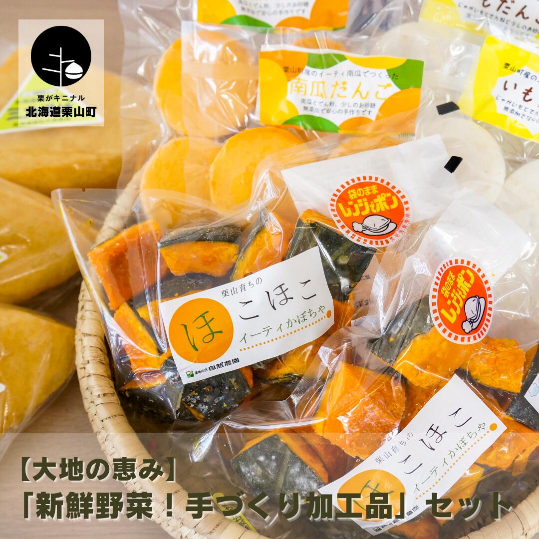 【ふるさと納税】大地の恵み「新鮮野菜！手づくり加工品」セット